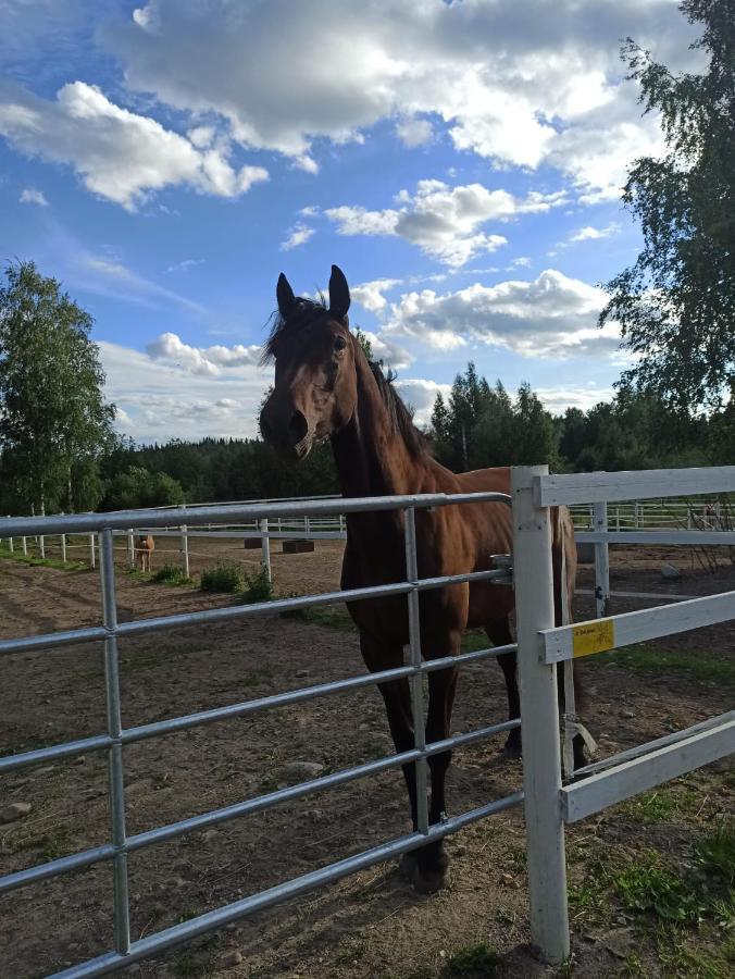 Bb Polle - With The Horse View Apartment Mikkeli Ngoại thất bức ảnh